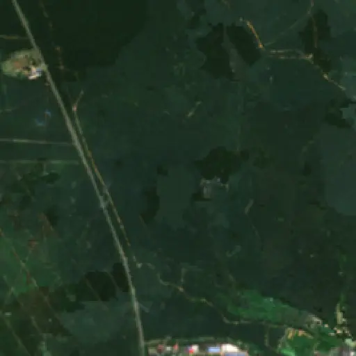 Satellite thumb